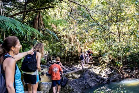 Maui: 5-Hour Waterfall & Rainforest Hike with Picnic Lunch