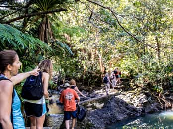 Maui: Regenwald- & Wasserfallwanderung mit Picknick Maui: Regenwald- & Wasserfallwanderung mit Picknick