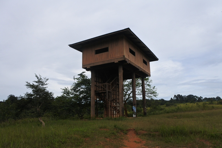 Khao Yai National Park Private Transfer with Optional Trek Transfer with Trek