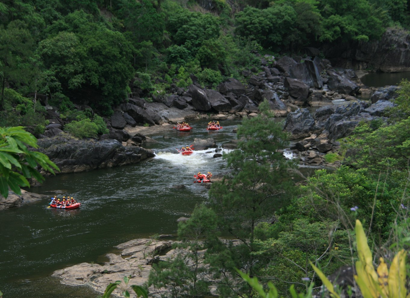 Barron Gorge: Halvdags Barron River White-Water Rafting