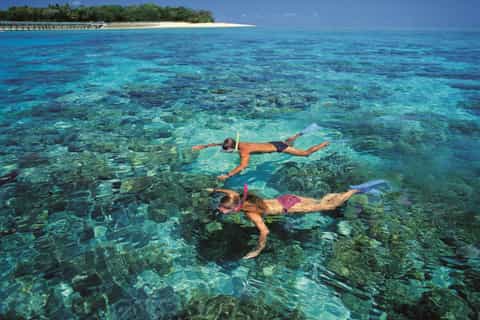 Vanuit Cairns: Green Island Reef Catamaran