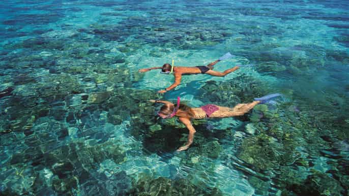green island reef catamaran cruise from cairns