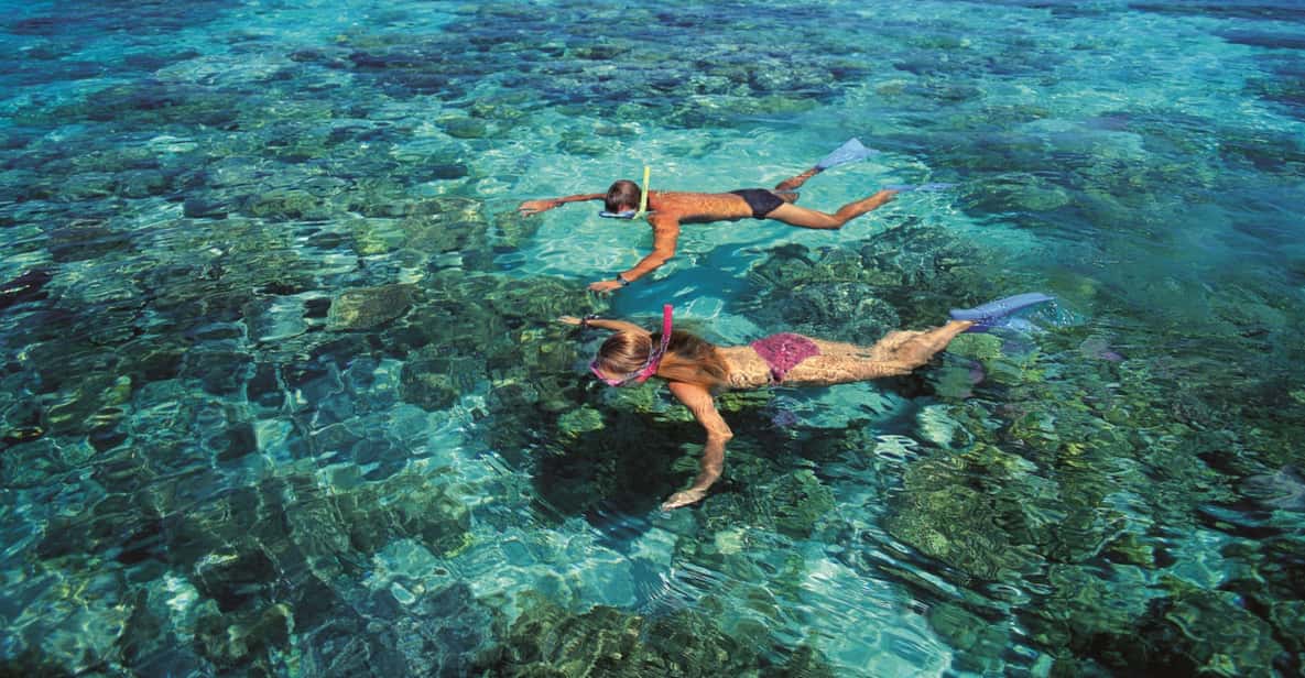From Cairns: Green Island Reef Catamaran Cruise