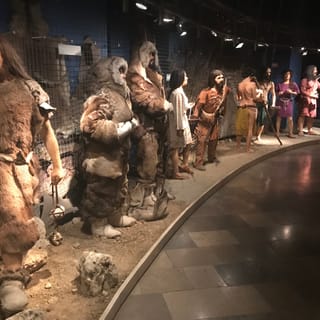 Krakovan arkeologisen museon sisäänpääsylippu
