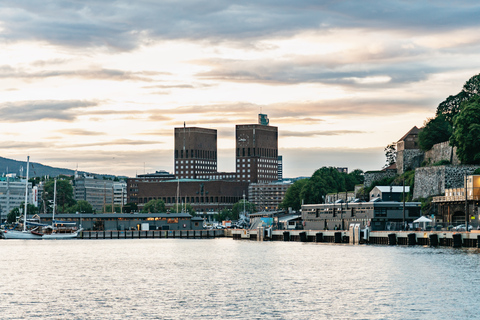 Oslo: avondtocht van 3 uur per boot door fjorden, met buffet