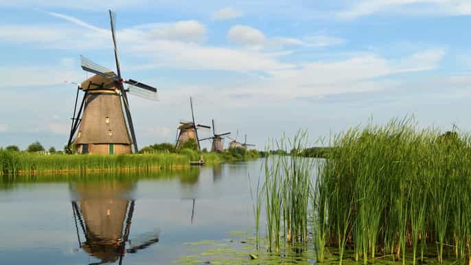fra amsterdam privat dagstur i rotterdam og kinderdijk