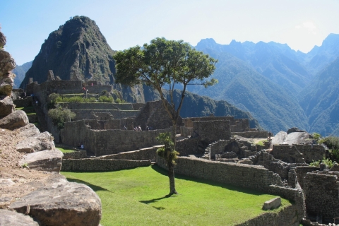 Machu Picchu o poranku: bilet wstępu, autobus i przewodnikZ Agua Calientes: Machu Picchu o poranku z przewodnikiem