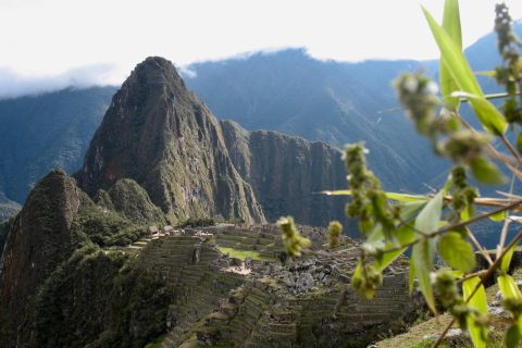 Machu Picchu Combo pour petits groupes : Billet d'entrée, bus et guide