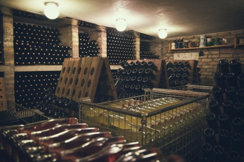 Modra: cata de vinos privada en una bodega familiar