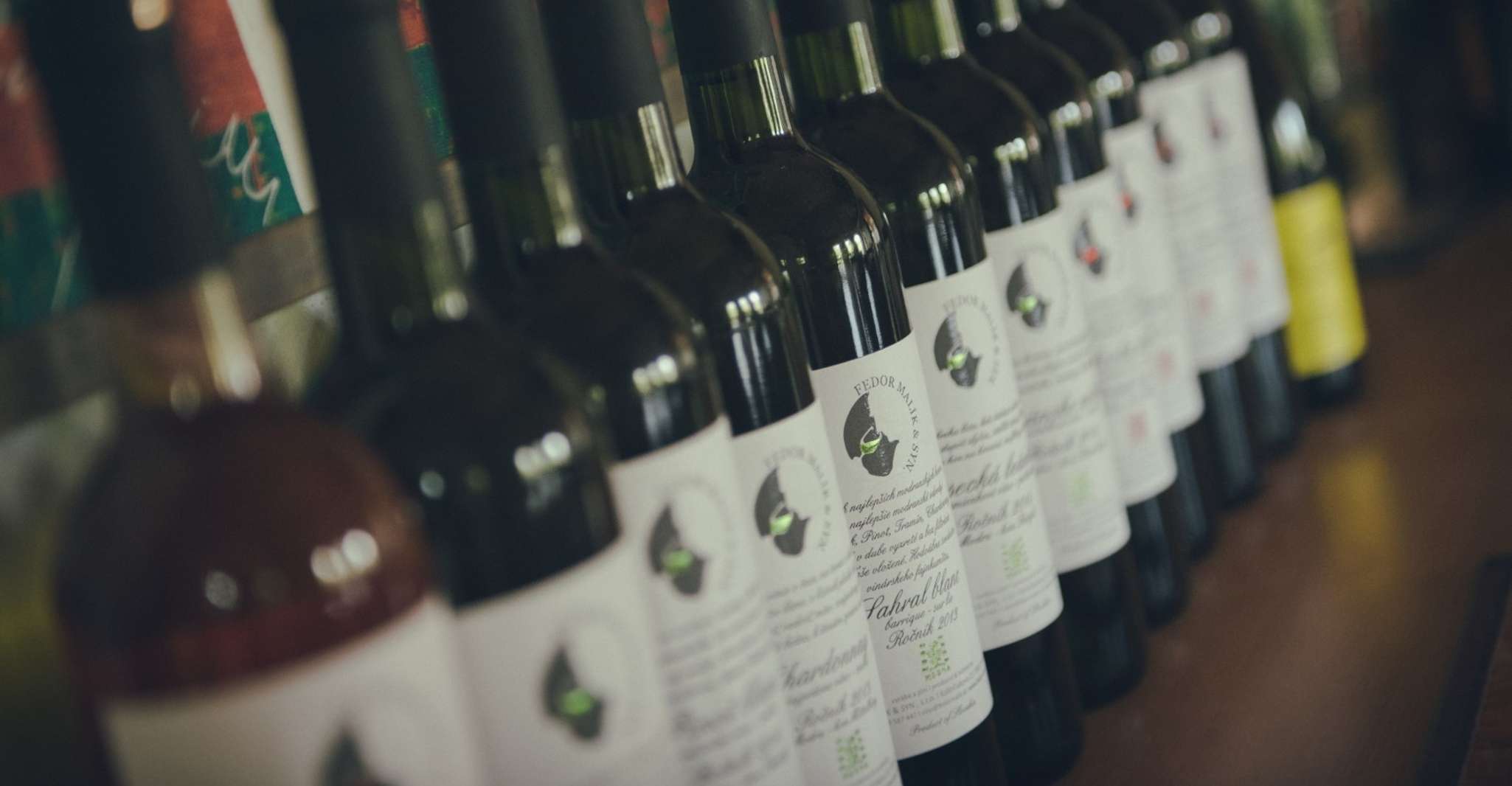 Modra, Dégustation de vins privés dans une cave familiale - Hizvo