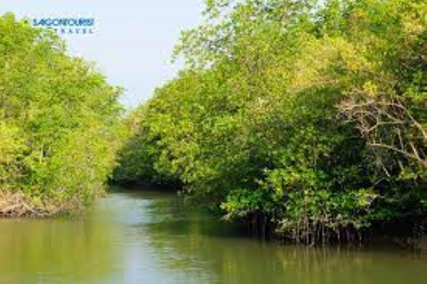 Tour di un giorno della Foresta delle Mangrovie e dell&#039;Isola delle Scimmie di Can Gio