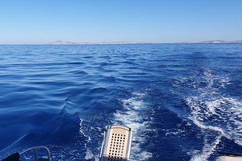 Croisière privée en catamaran sur la Riviera d'Athènes avec repas et boissonsCôte d'Athènes : Croisière privée en catamaran avec repas et boissons