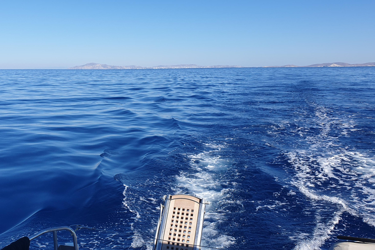 Croisière privée en catamaran sur la Riviera d'Athènes avec repas et boissonsCôte d'Athènes : Croisière privée en catamaran avec repas et boissons