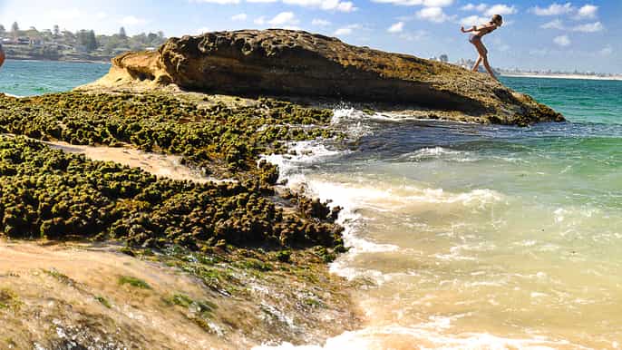sydney kiama coast nature beaches bbq small group tour