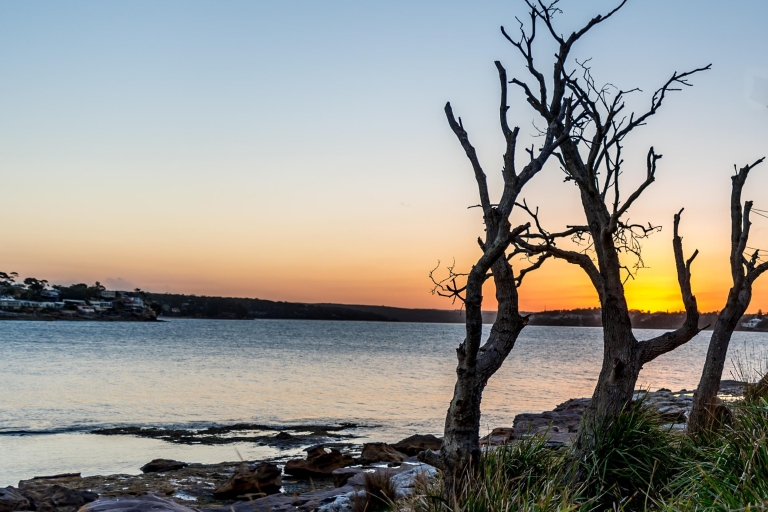 Sydney: visite en petit groupe de la côte de Kiama, de la nature, des plages et du barbecueVisite en petit groupe de la nature pittoresque de la côte sud de Sydney