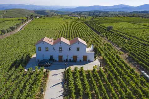 Chateau Chantal Winery Bed And Breakfast Wineries Near Me Chateau