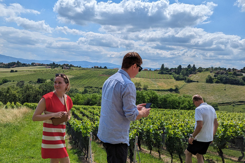 From Lyon: Guided Beaujolais Tour with Wine Tasting