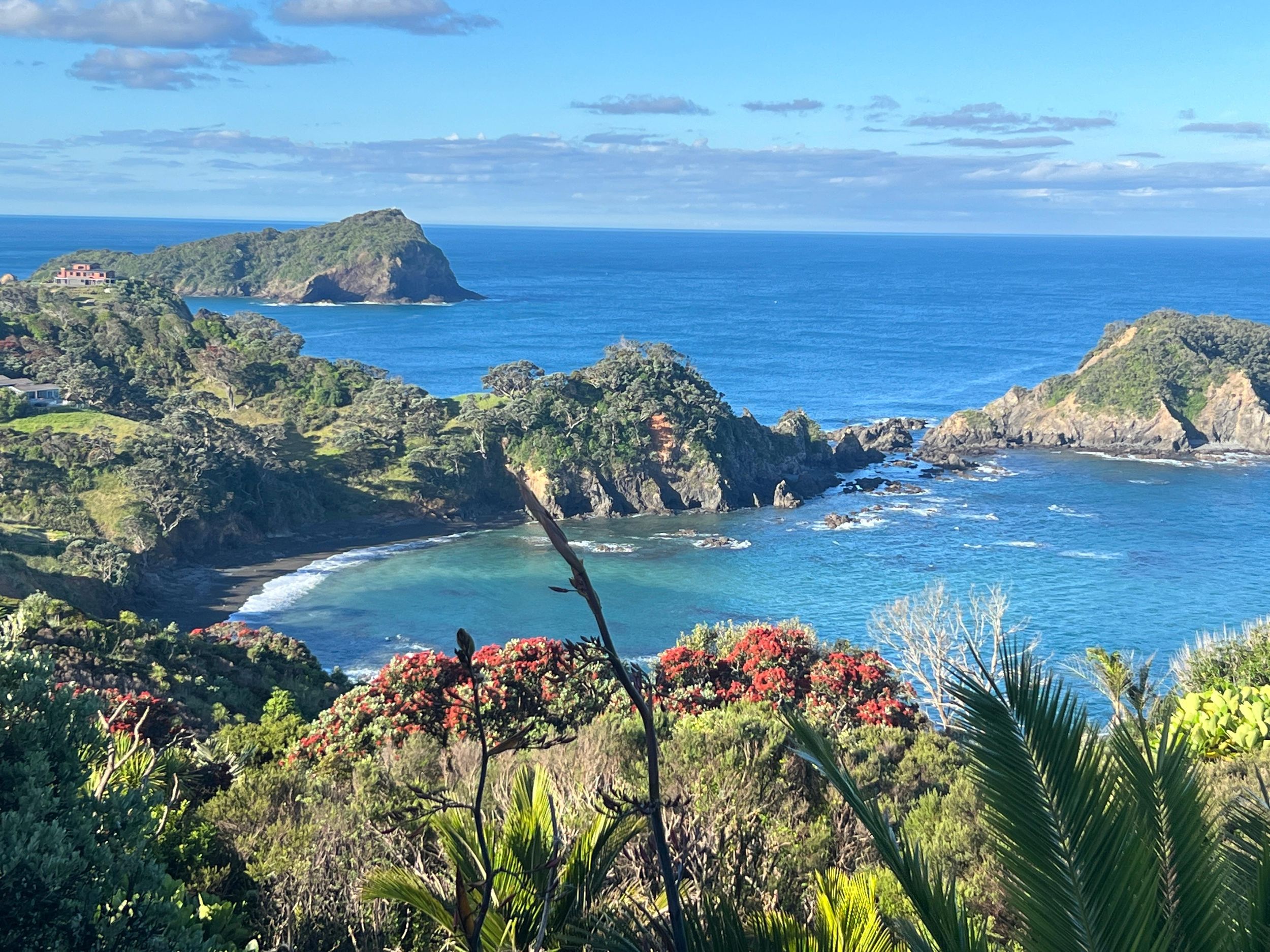 Tutukaka: Private Entdecker-Tour mit Mittagessen