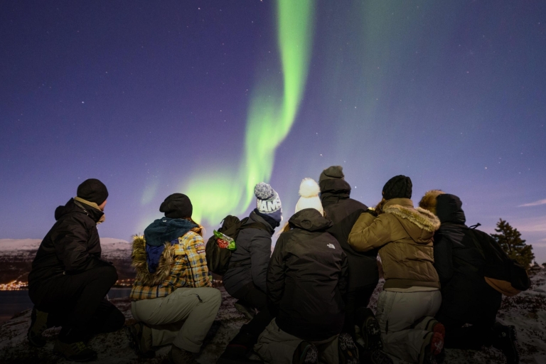 Tromso: wycieczka autobusem fotograficznym zorzy polarnej