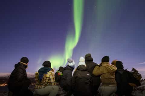 Tromso: Aurora Chase with Professional Photographers