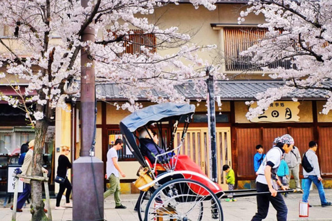 Kyoto/Nara: Must-see Spots in One Day Tour with Hotel Pickup