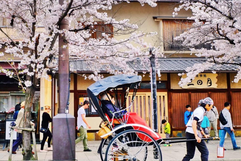 Kyoto/Nara: Must-see Spots in One Day Tour with Hotel Pickup