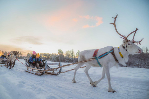 Rovaniemi: Reindeer Ride to Santa through the Magic Forest