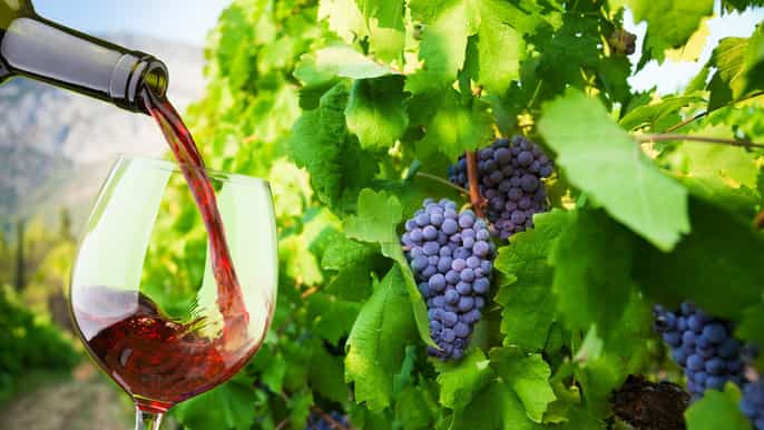 table mountain constantia wine estate private combo tour