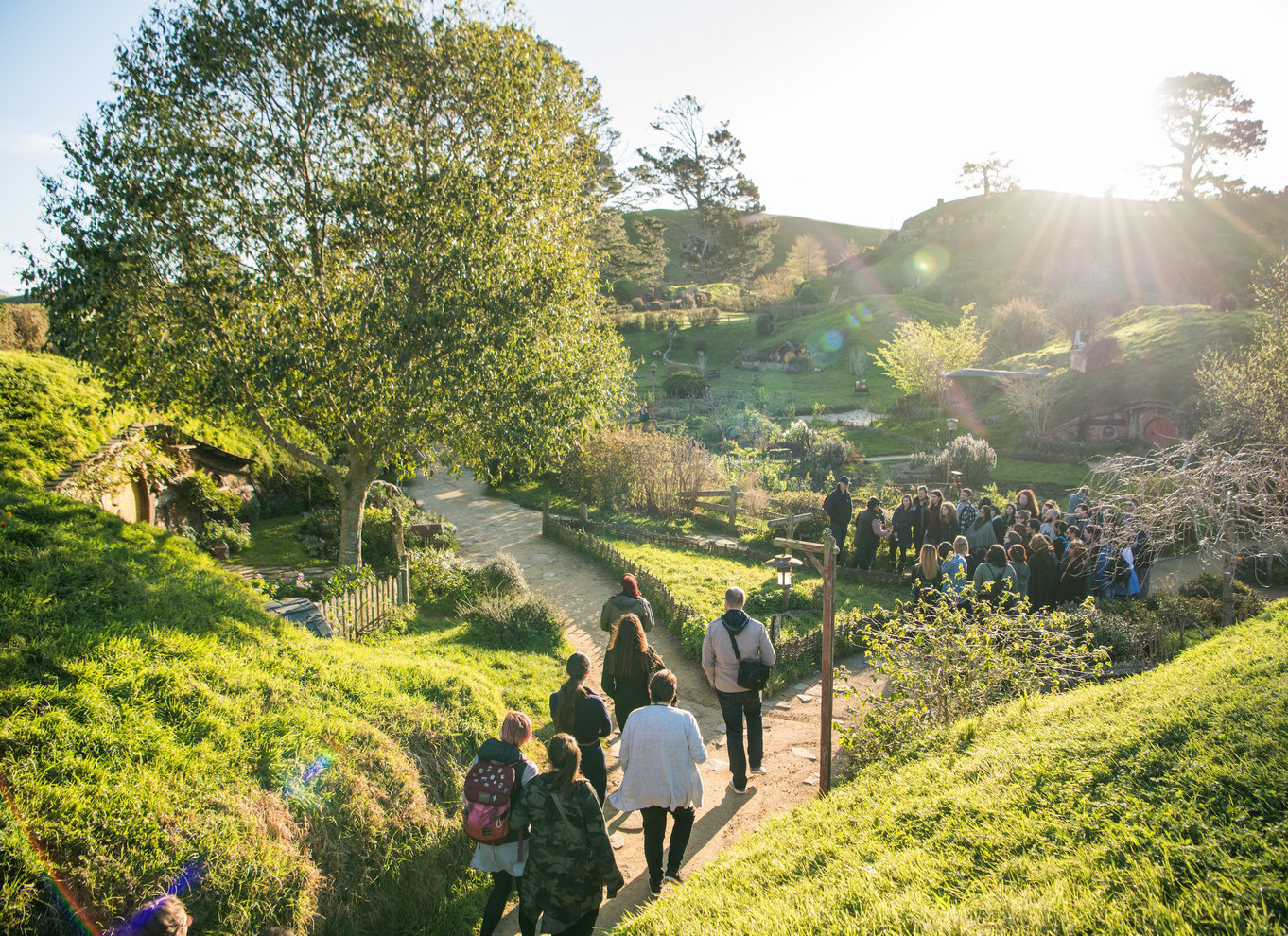 Matamata: Billet til guidet tur på Hobbiton-filmsættet