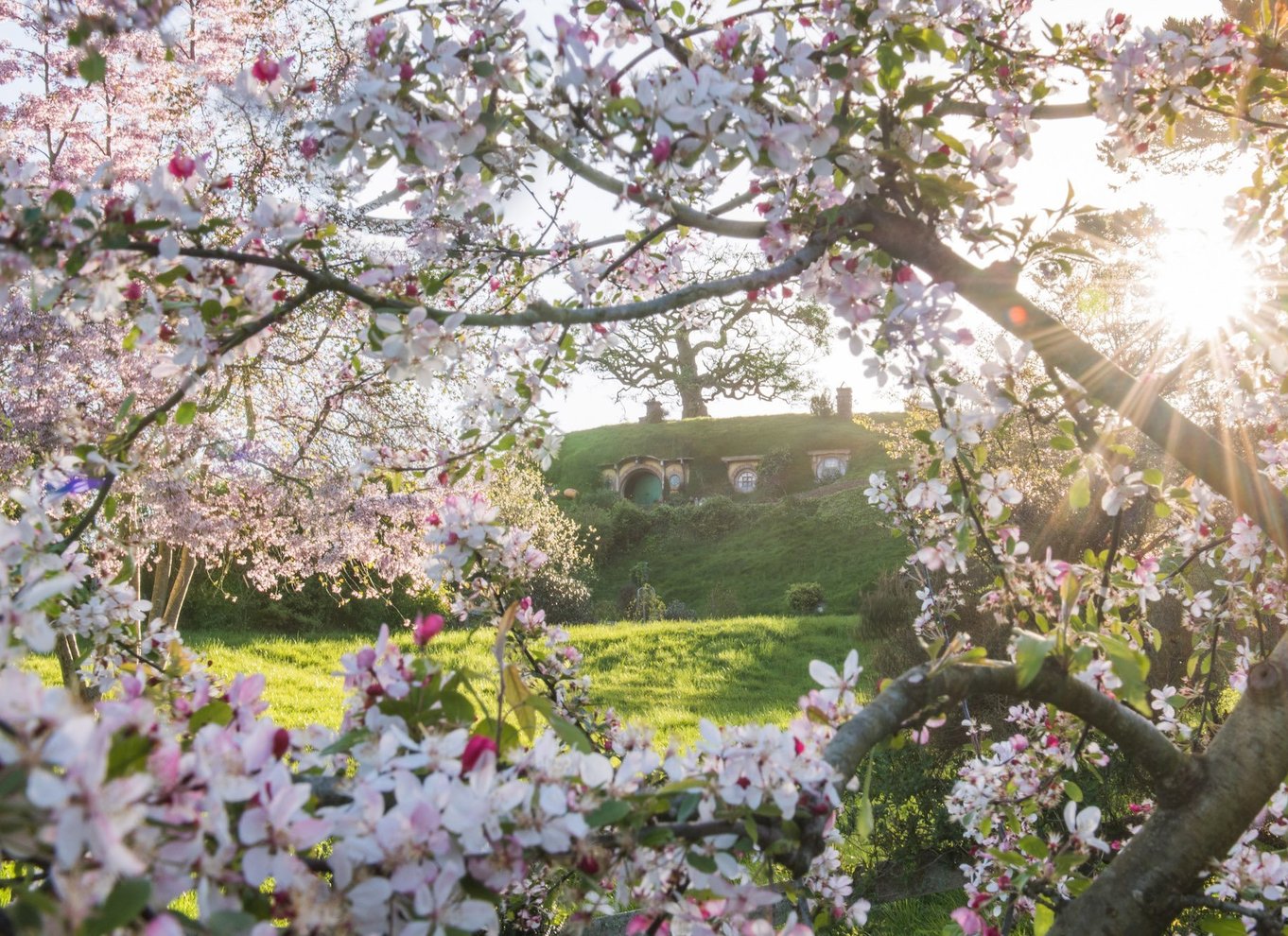 Matamata: Billet til guidet tur på Hobbiton-filmsættet