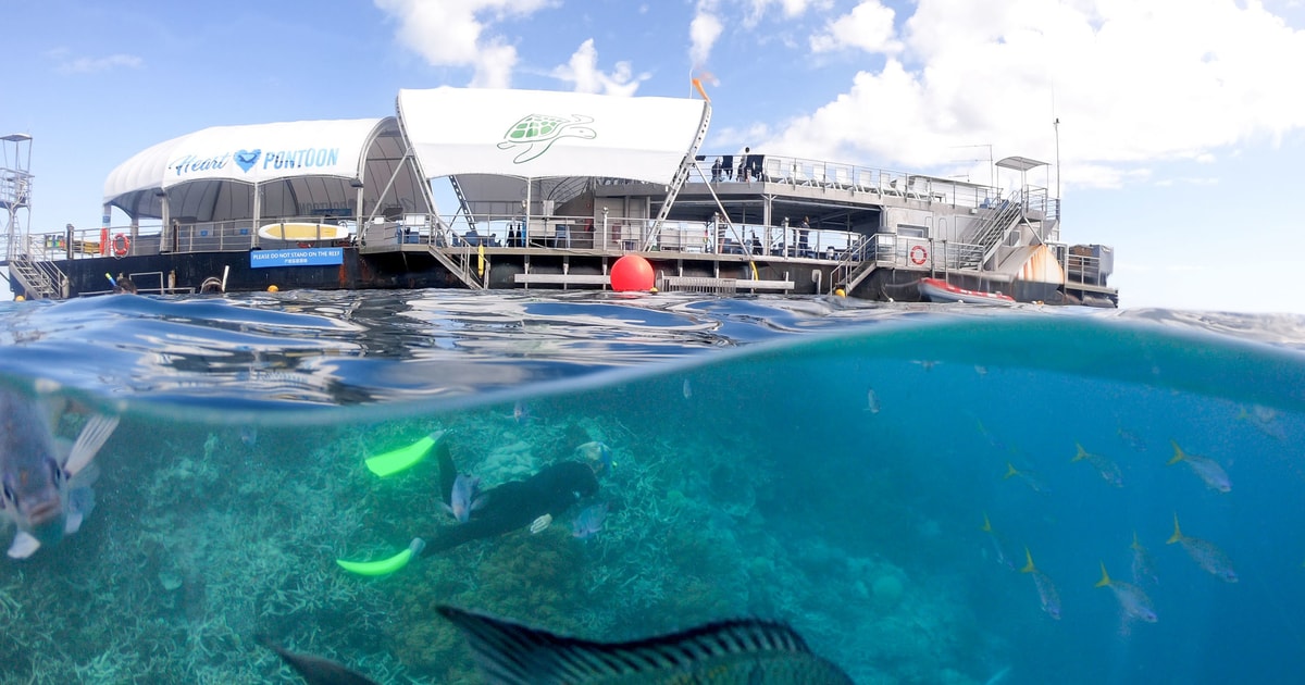 Airlie Beach Great Barrier Reef Außenriff ReefWorld Ponton GetYourGuide