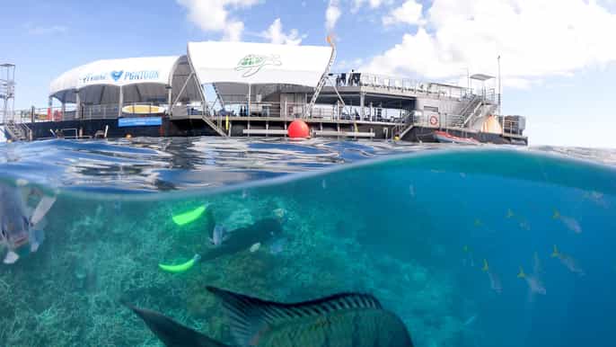 airlie beach outer great barrier reef reefworld pontoon