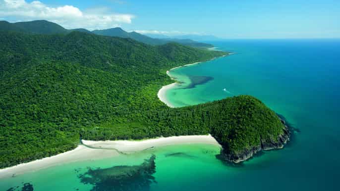 atherton tablelands mossman gorge y daintree tour