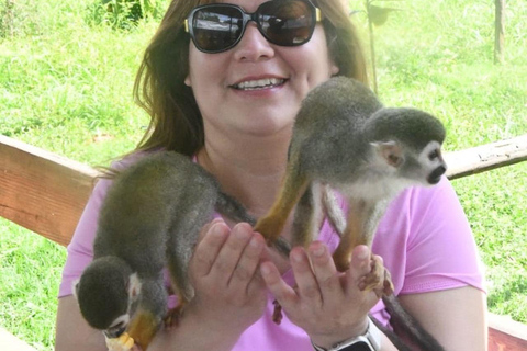 Puerto Plata: Monkey home, Damajagua Waterfalls & City Tour