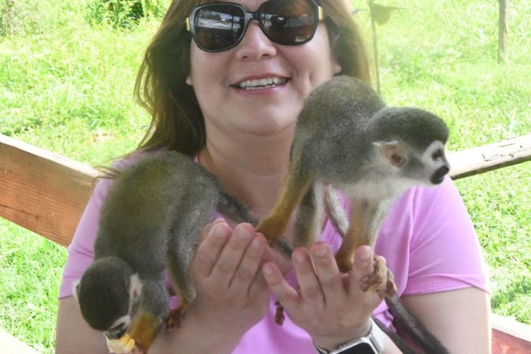 Puerto Plata: Monkey home, Damajagua Waterfalls & City Tour