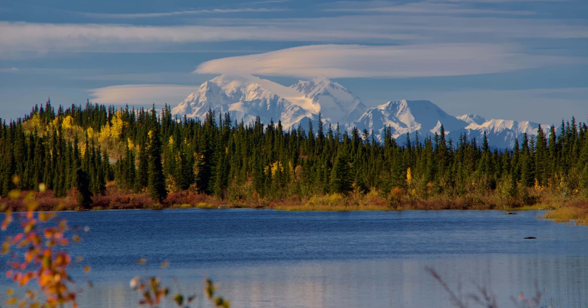 Healy Denali National Park SelfGuided Jeep Adventure GetYourGuide