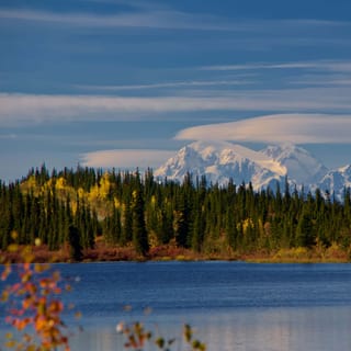 The BEST Denali National Park and Preserve Private tours 2022 - FREE ...