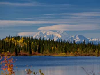 Alaska: Selbstgeführte Jeep-Tour im Denali-Nationalpark Alaska: Selbstgeführte Jeep-Tour im Denali-Nationalpark