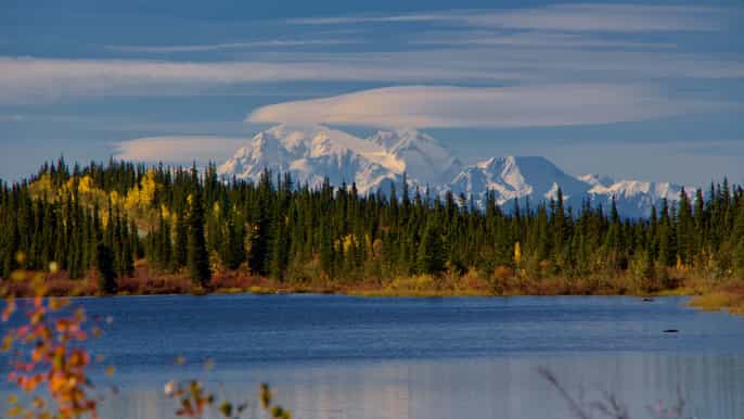 healy denali national park selfguided jeep adventure