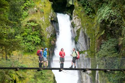 Flight and Hike Trip: Milford Sound, Milford Track & Picnic