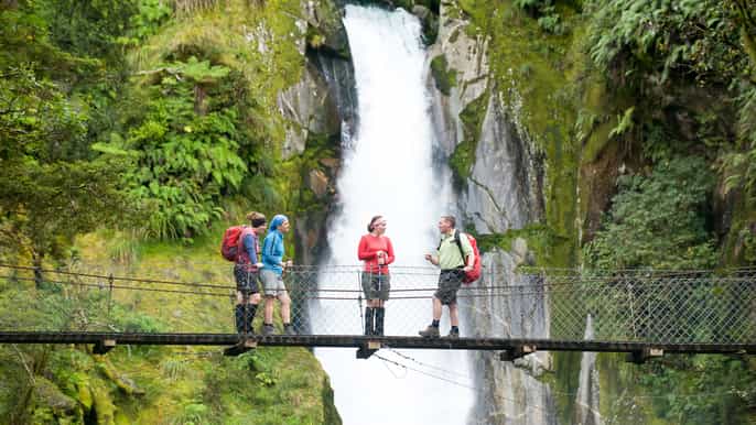 flight and hike trip milford sound milford track picnic