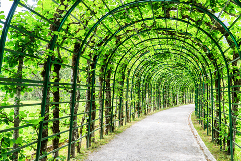 慕尼黑出发：林德霍夫皇宫与奥伯阿默高