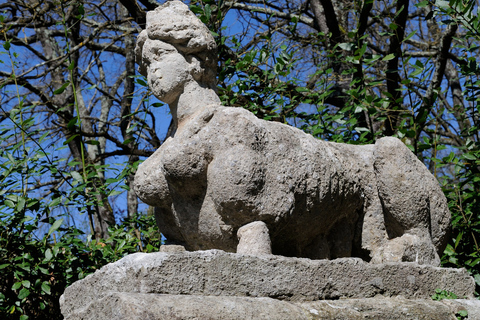 Desde Civitavecchia: la ciudad moribunda y el Monster Park TourTour compartido