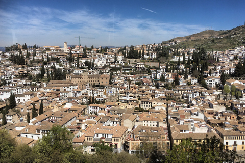 Granada och Albaicin: Historisk privat tur