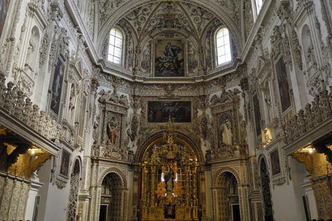 Granada and Albaicín: Historical Private Tour