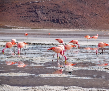 Uyuni: Excursão de 3 dias aos Salares com viagem a San Pedro de Atacama