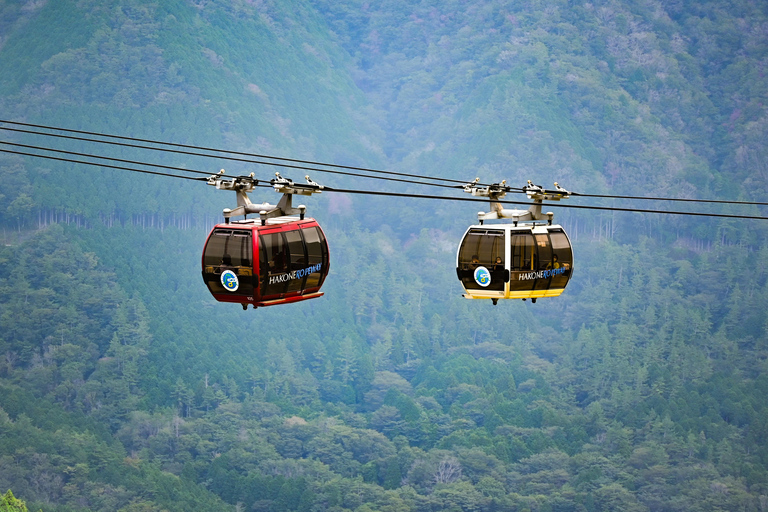 Tokyo: Mt. Fuji & Hakone Private Day Trip with Guide