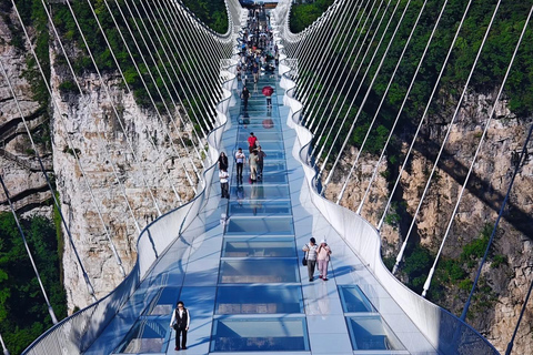 Zhangjiajie Glass Bridge & Canyon Hiking Tips Entry Ticket