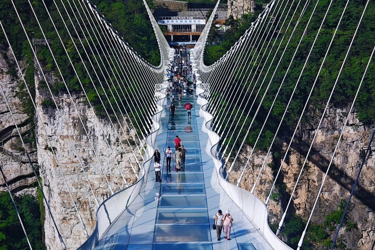 Zhangjiajie Glass Bridge & Canyon Hiking Tips Entry Ticket