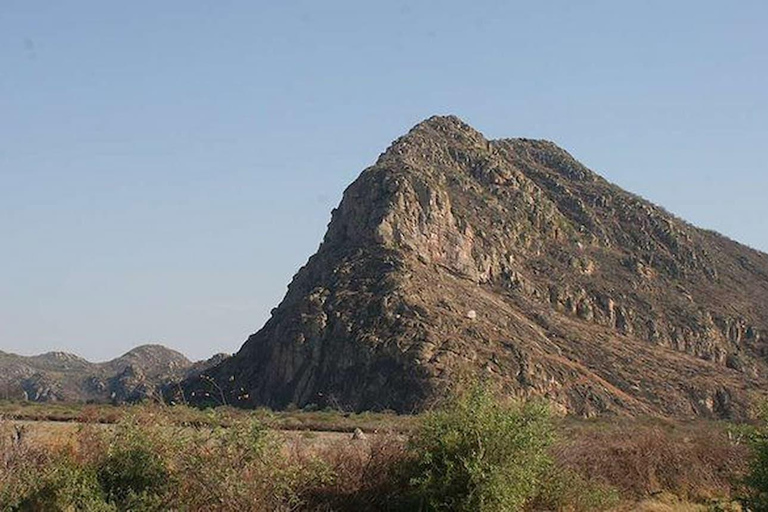 Maun: safari de 8 días por el delta del Okavango con acampada.Maun: safari de 8 días por el delta del Okavango con acampada
